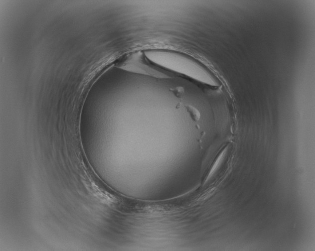 X0000076330481200610201709