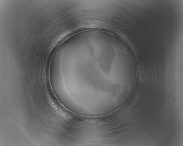 X0000076330482200610201709