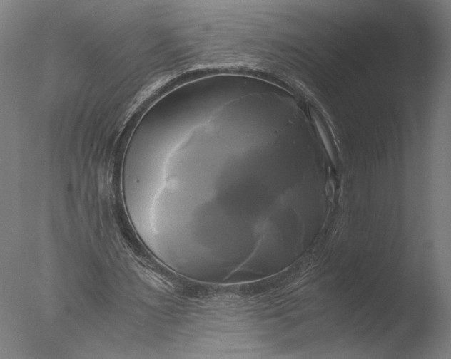 X0000076330483200610201709