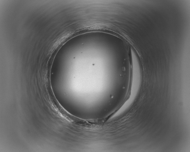 X0000076330485200610201708