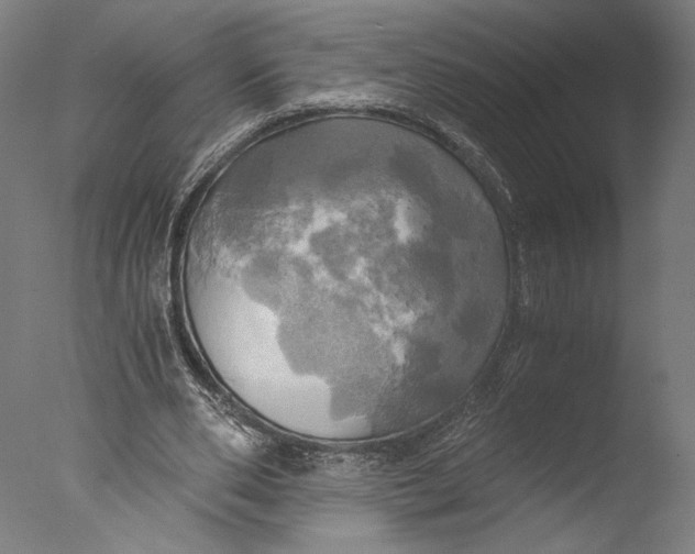 X0000076330486200610201708