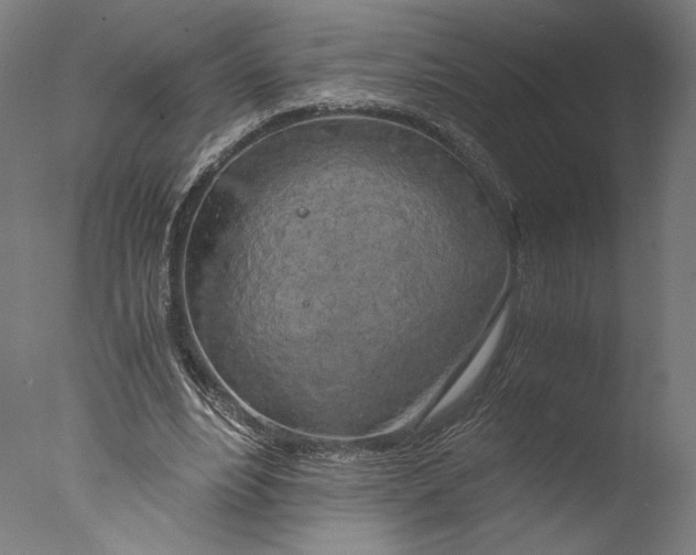 X0000076330488200610201708