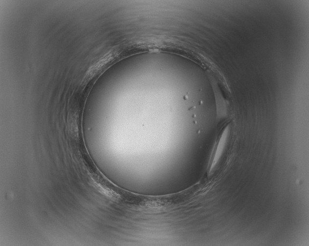 X0000076330489200610201708