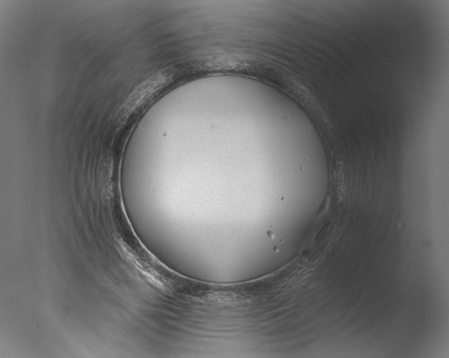 X0000076330490200610201708