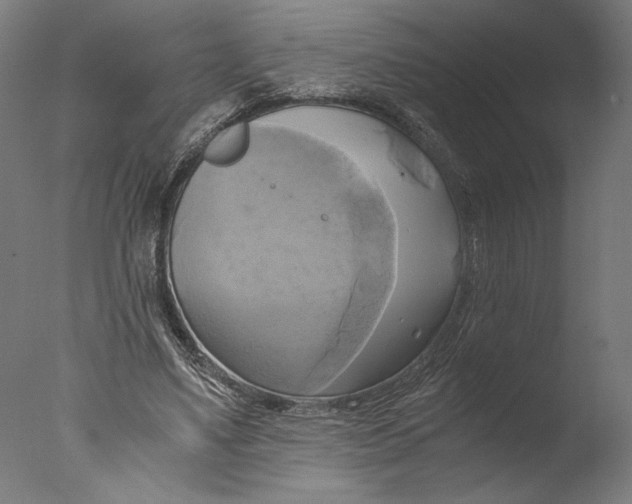 X0000076330491200610201708