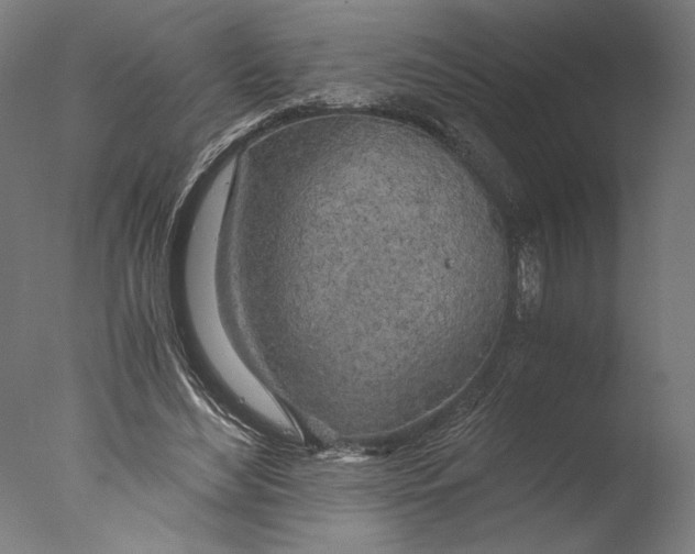 X0000076330492200610201708