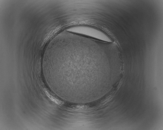 X0000076330493200610201708