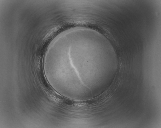 X0000076330495200610201708