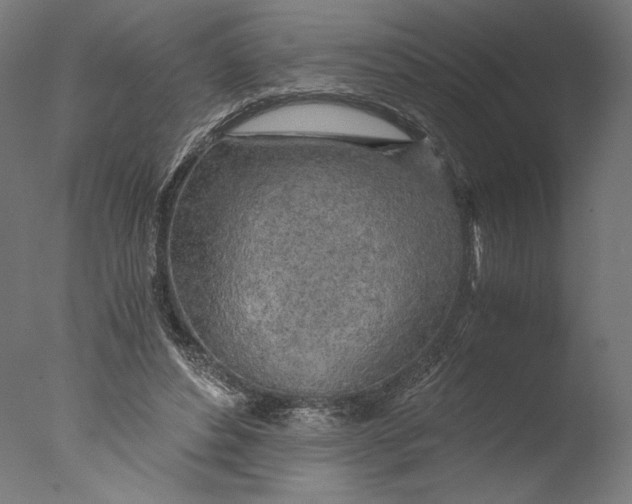 X0000076330496200610201708