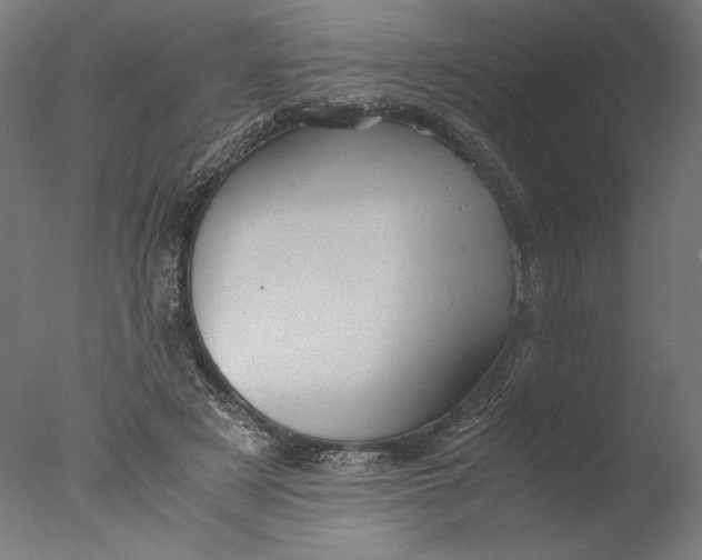 X0000076330497200610201708