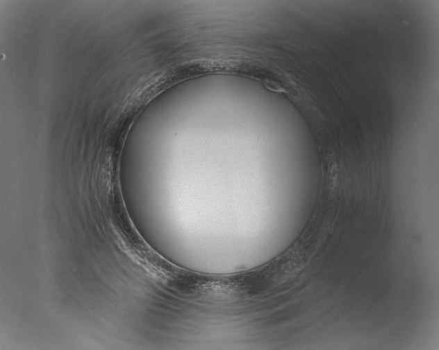 X0000076330498200610201708