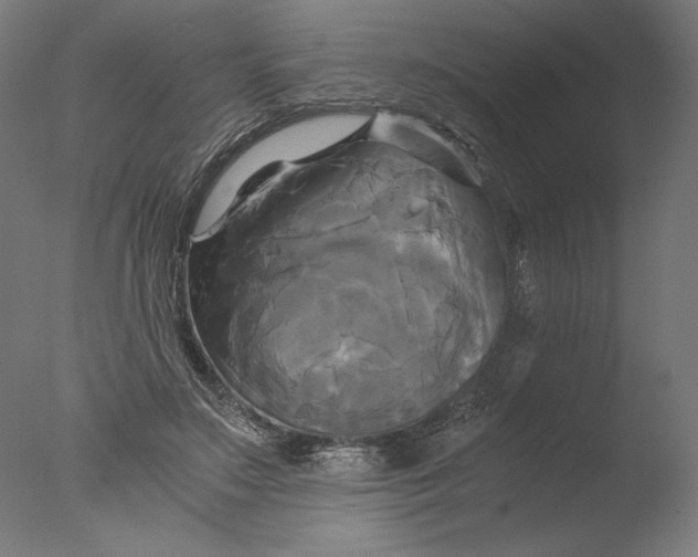 X0000076330499200610201708