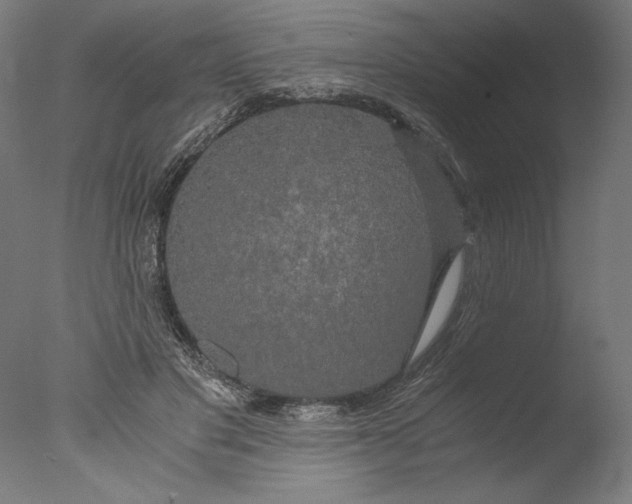 X0000076330501200610201708