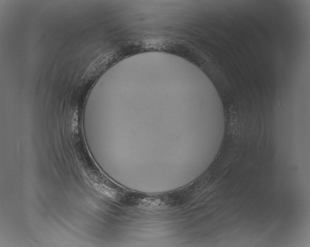 X0000076330502200610201708