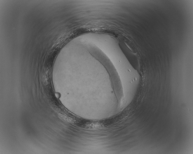 X0000076330503200610201708