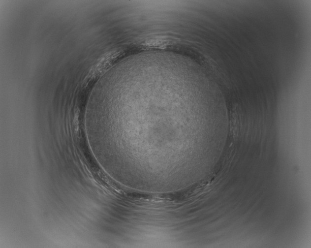 X0000076330504200610201708