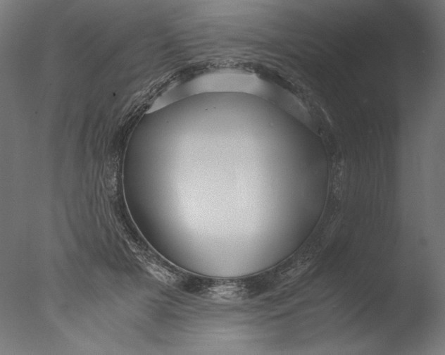 X0000076330505200610201708