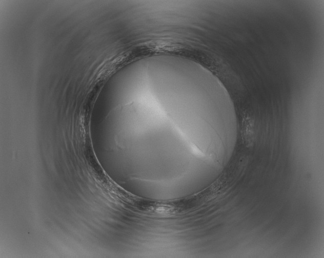 X0000076330506200610201708