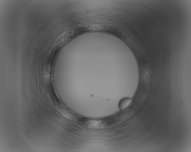 X0000076330507200610201708