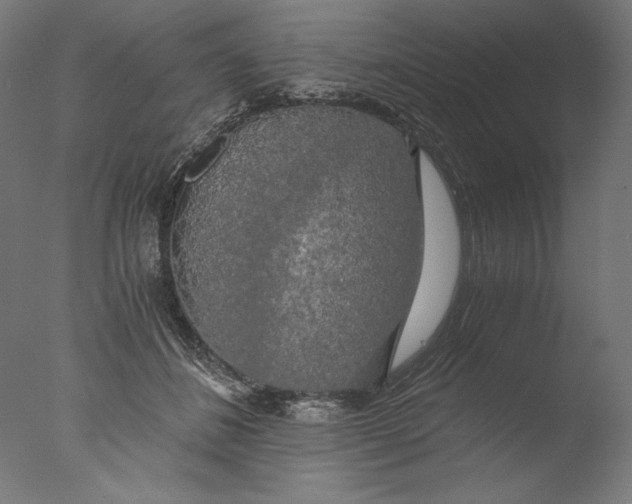 X0000076330508200610201708