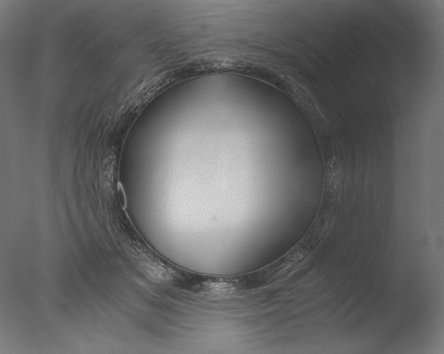 X0000076330509200610201708