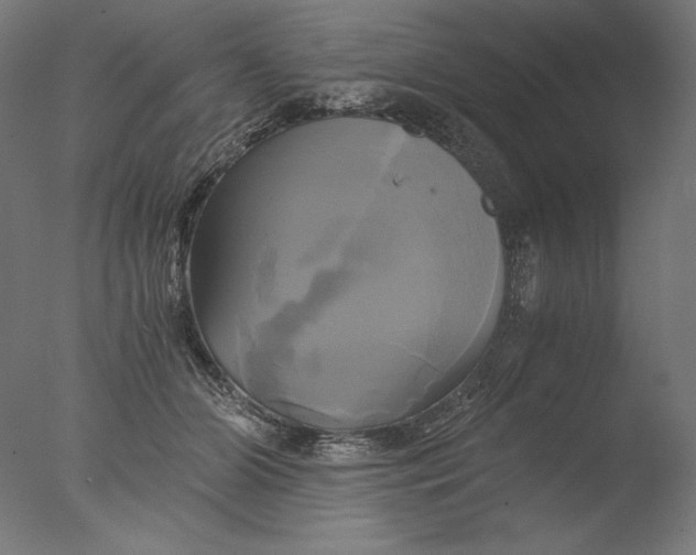 X0000076330510200610201708