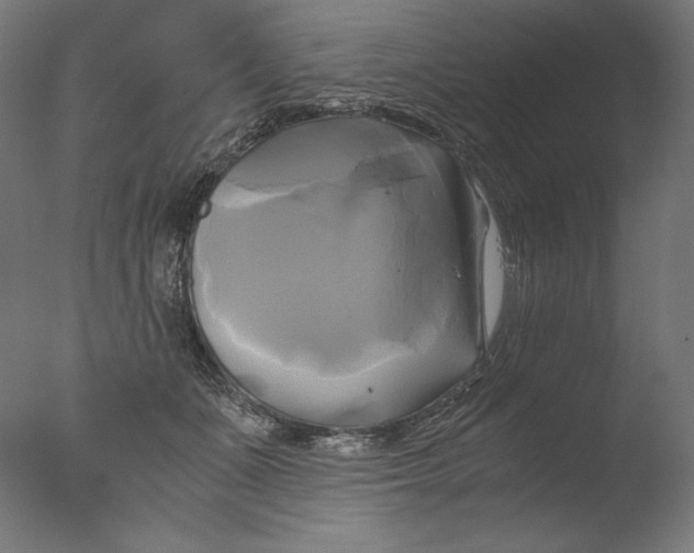 X0000076330511200610201708