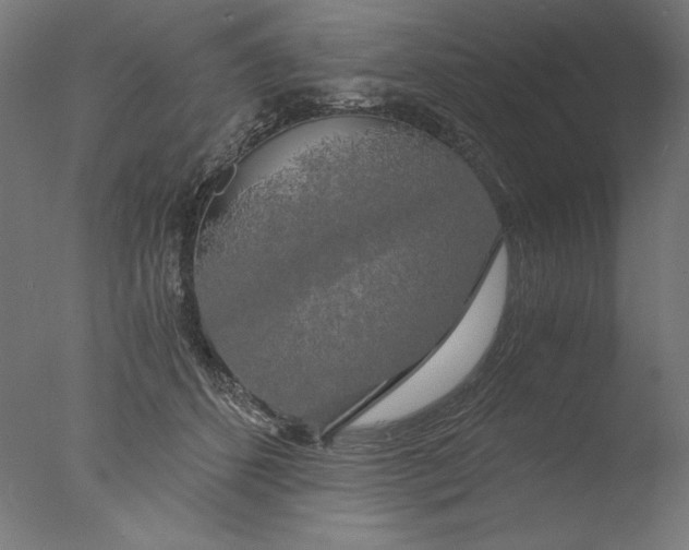 X0000076330512200610201708