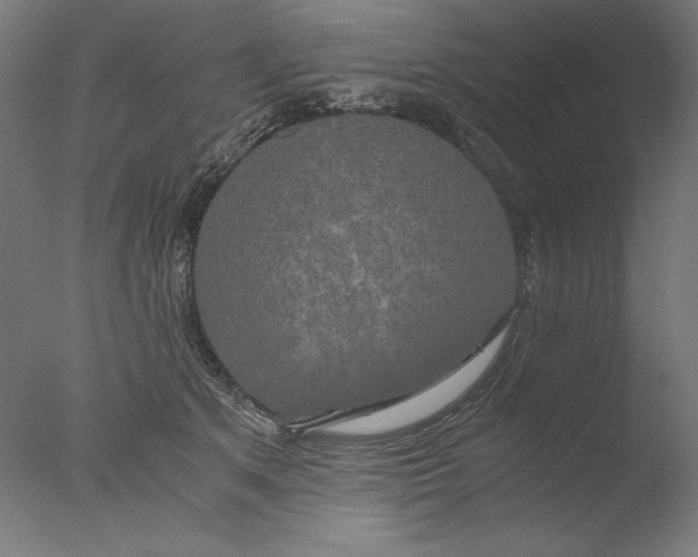 X0000076330513200610201708