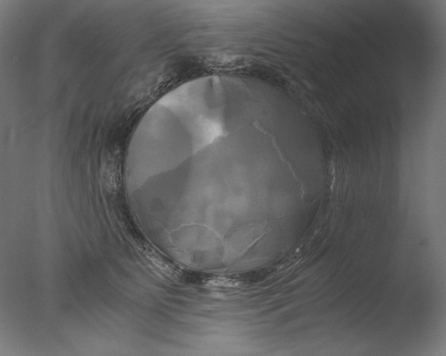 X0000076330515200610201708