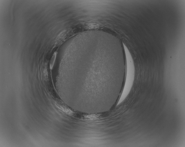 X0000076330516200610201708