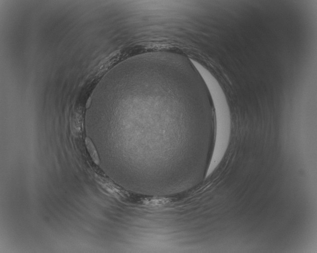 X0000076330517200610201708