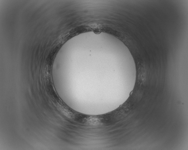 X0000076330518200610201708