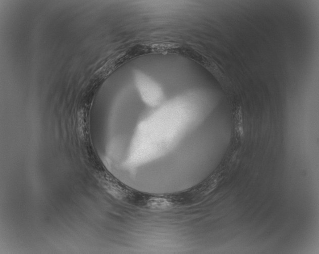 X0000076330519200610201708