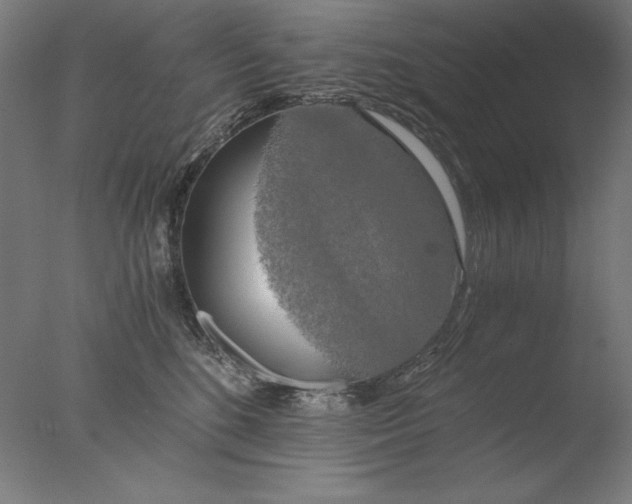 X0000076330520200610201708