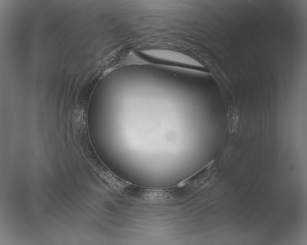 X0000076330521200610201708