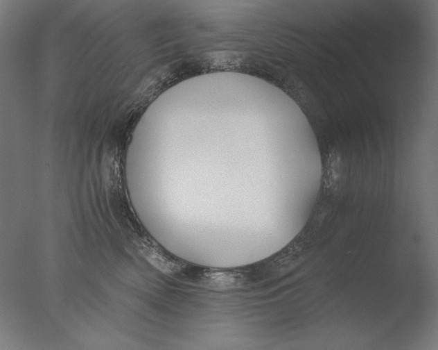 X0000076330522200610201708