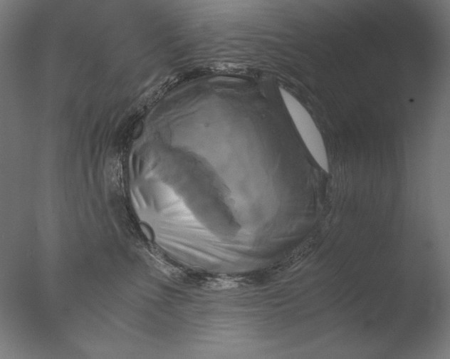 X0000076330523200610201708