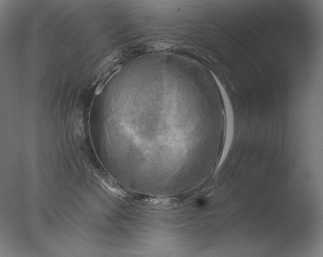 X0000076330524200610201708