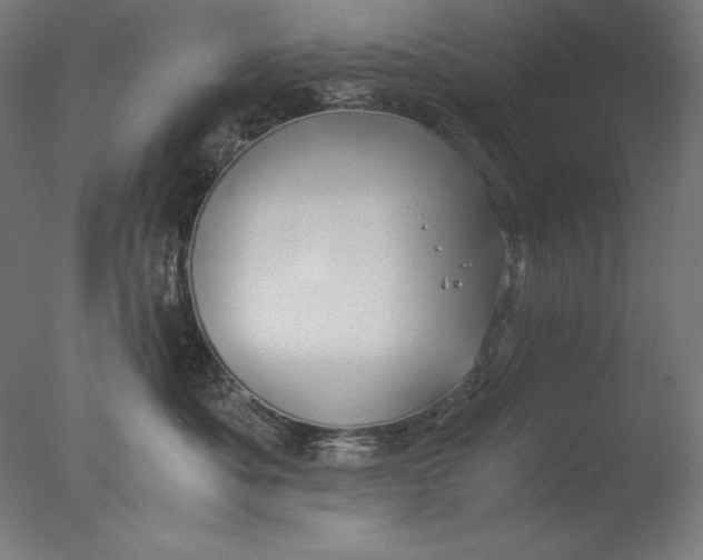 X0000076330525200610201708