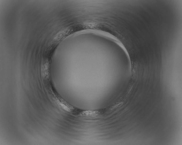 X0000076330526200610201708