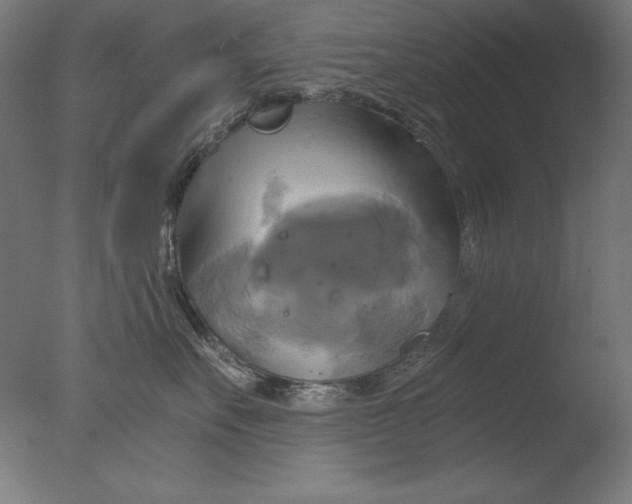 X0000076330527200610201708