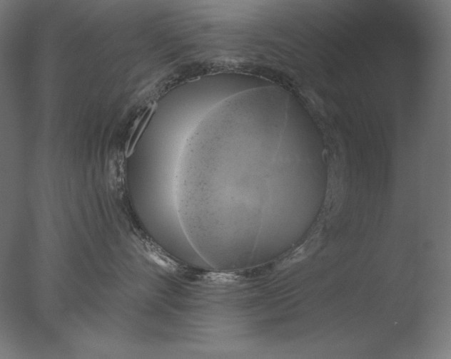 X0000076330528200610201708