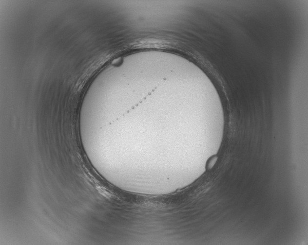 X0000076330529200610201707