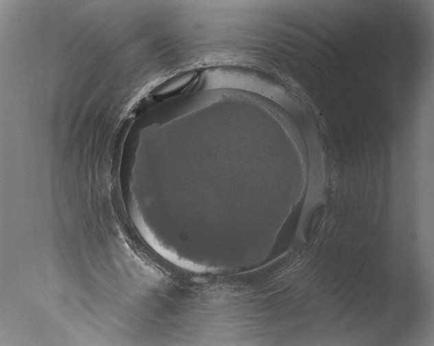 X0000076330530200610201707