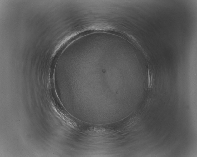 X0000076330531200610201707