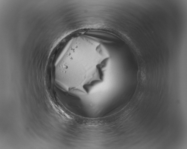 X0000076330532200610201707