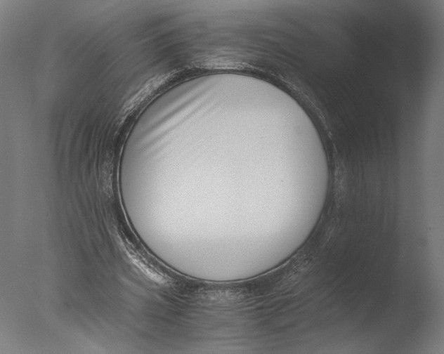 X0000076330533200610201707