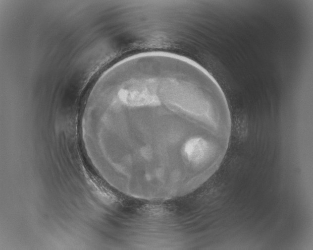 X0000076330534200610201707