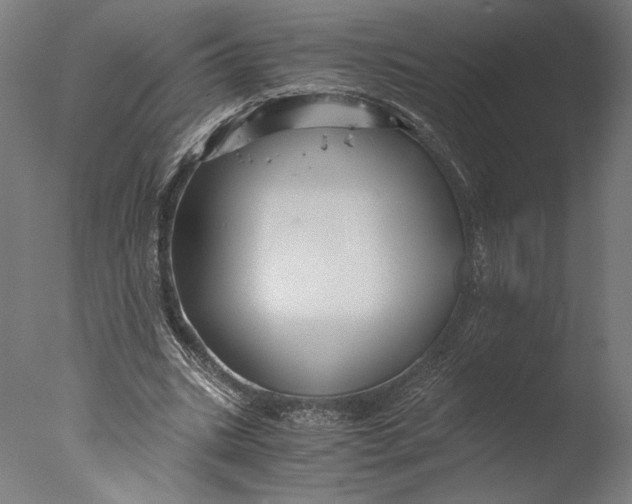 X0000076330535200610201707